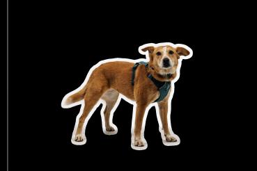 Ruffwear Front Range Flex Harness Deep Teal Gr. XXXS